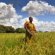 Sustainable Agriculture in Africa