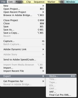 Premiere-Pro-export-media