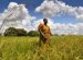 Sustainable Agriculture in Africa