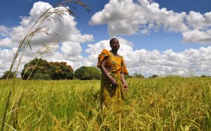 Sustainable Agriculture in Africa