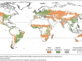 Africa Agriculture Facts