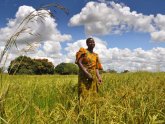 Sustainable Agriculture in Africa