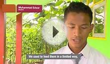 Agricultural development: Training Indonesia poultry farmers