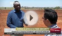 Talk Africa: China Africa Agriculture Co operation